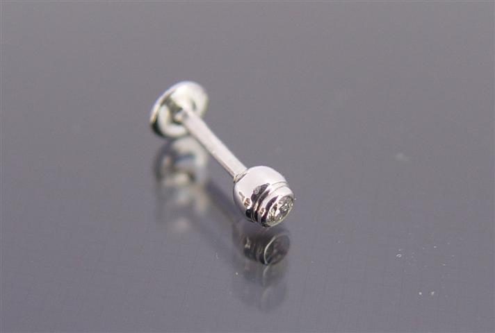 DSC00164 (Small)